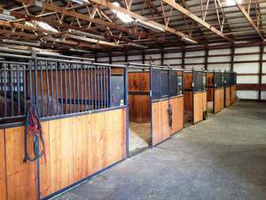 Colorado Horse Property For Sale